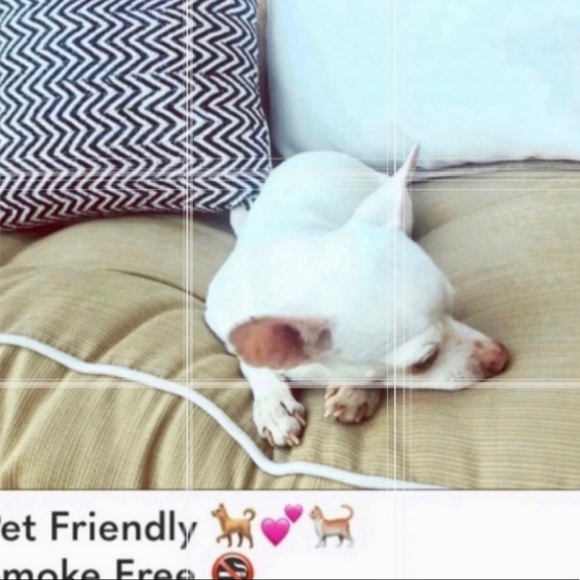 Billabong Turquoise & Black Rose adjustable tank top - Picture 8 of 8